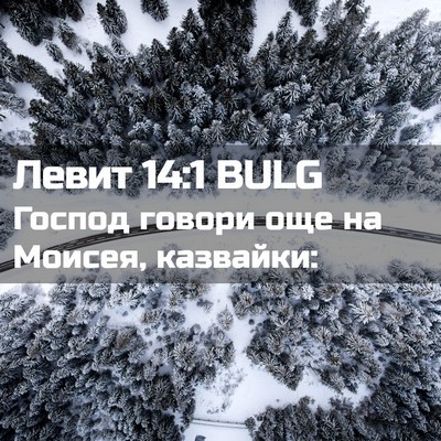 Picture 02 - Левит 14:1 BULG - Господ говори още на - Bible Verse Picture