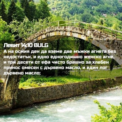 Picture 02 - Левит 14:10 BULG - А на осмия ден да вземе две - Bible Verse Picture