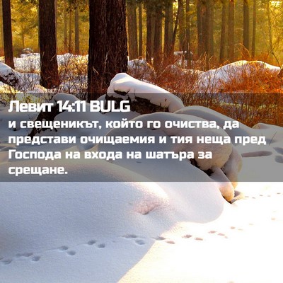 Picture 02 - Левит 14:11 BULG - и свещеникът, който го - Bible Verse Picture