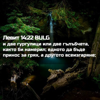 Picture 02 - Левит 14:22 BULG - и две гургулици или две - Bible Verse Picture