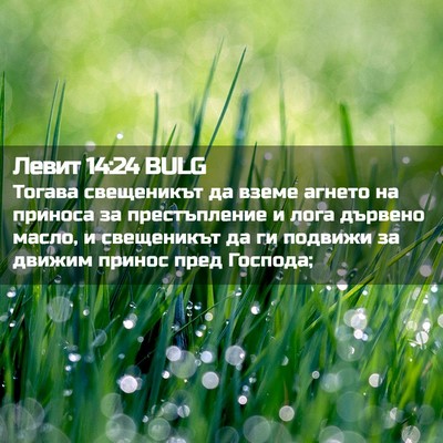 Picture 02 - Левит 14:24 BULG - Тогава свещеникът да вземе - Bible Verse Picture