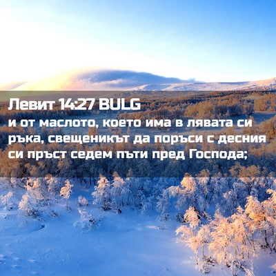 Picture 02 - Левит 14:27 BULG - и от маслото, което има в - Bible Verse Picture