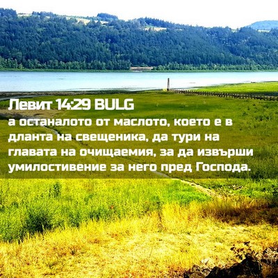 Picture 02 - Левит 14:29 BULG - а останалото от маслото, - Bible Verse Picture