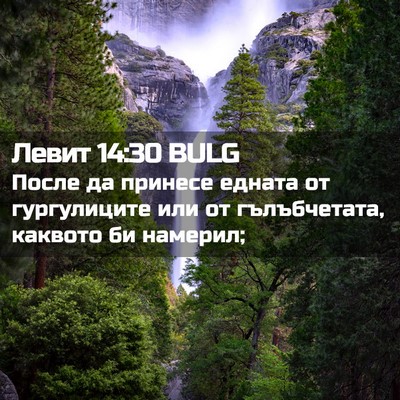 Picture 02 - Левит 14:30 BULG - После да принесе едната от - Bible Verse Picture