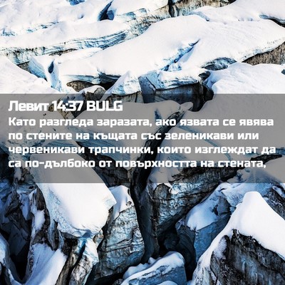 Picture 02 - Левит 14:37 BULG - Като разгледа заразата, - Bible Verse Picture