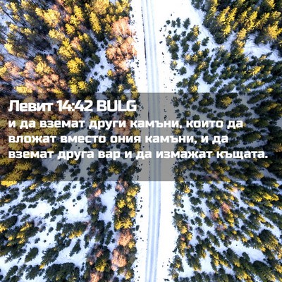 Picture 02 - Левит 14:42 BULG - и да вземат други камъни, - Bible Verse Picture