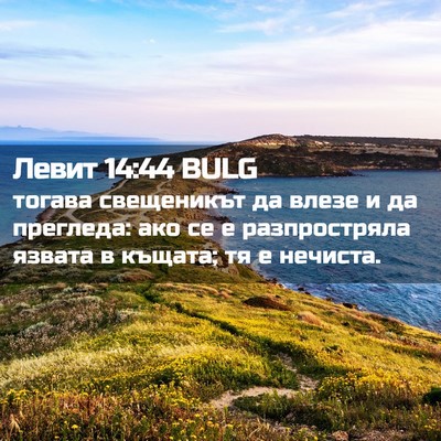Picture 02 - Левит 14:44 BULG - тогава свещеникът да влезе - Bible Verse Picture