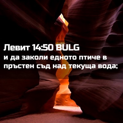 Picture 02 - Левит 14:50 BULG - и да заколи едното птиче в - Bible Verse Picture