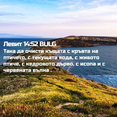 Picture 02 - Левит 14:52 BULG - Така да очисти къщата с - Bible Verse Picture