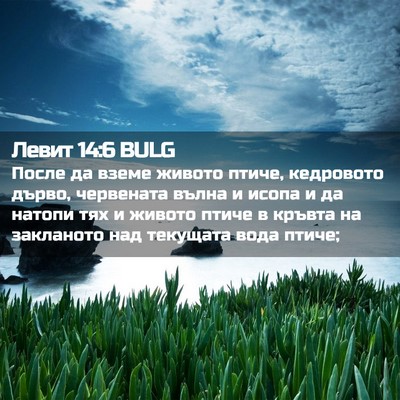 Picture 02 - Левит 14:6 BULG - После да вземе живото - Bible Verse Picture