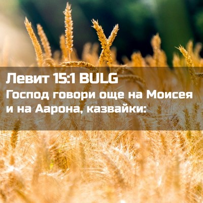 Picture 02 - Левит 15:1 BULG - Господ говори още на - Bible Verse Picture