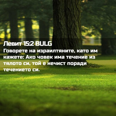 Picture 02 - Левит 15:2 BULG - Говорете на израилтяните, - Bible Verse Picture