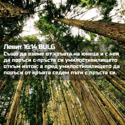 Picture 02 - Левит 16:14 BULG - Също да вземе от кръвта на - Bible Verse Picture