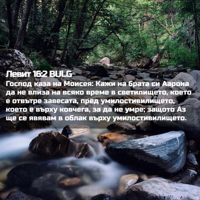 Picture 02 - Левит 16:2 BULG - Господ каза на Моисея: Кажи - Bible Verse Picture