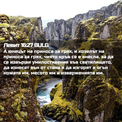 Picture 02 - Левит 16:27 BULG - А юнецът на приноса за - Bible Verse Picture