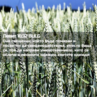 Picture 02 - Левит 16:32 BULG - Оня свещеник, който бъде - Bible Verse Picture