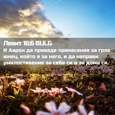 Picture 02 - Левит 16:6 BULG - И Аарон да приведе - Bible Verse Picture