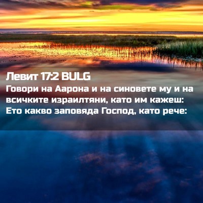 Picture 02 - Левит 17:2 BULG - Говори на Аарона и на - Bible Verse Picture