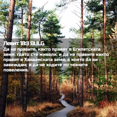 Picture 02 - Левит 18:3 BULG - Да не правите, както правят - Bible Verse Picture