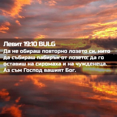 Picture 02 - Левит 19:10 BULG - Да не обираш повторно - Bible Verse Picture