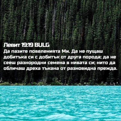 Picture 02 - Левит 19:19 BULG - Да пазите повеленията Ми. - Bible Verse Picture