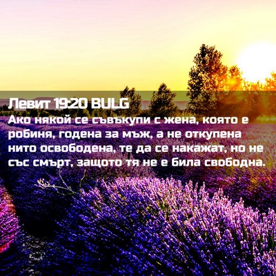 Picture 02 - Левит 19:20 BULG - Ако някой се съвъкупи с - Bible Verse Picture