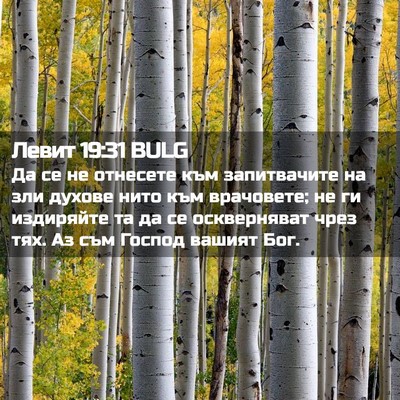 Picture 02 - Левит 19:31 BULG - Да се не отнесете към - Bible Verse Picture