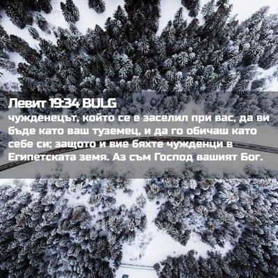 Picture 02 - Левит 19:34 BULG - чужденецът, който се е - Bible Verse Picture