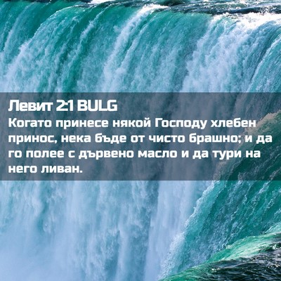Picture 02 - Левит 2:1 BULG - Когато принесе някой - Bible Verse Picture