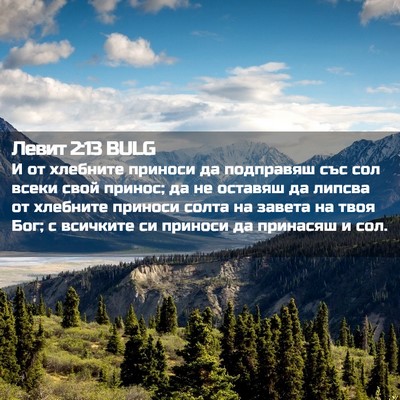 Picture 02 - Левит 2:13 BULG - И от хлебните приноси да - Bible Verse Picture