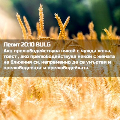 Picture 02 - Левит 20:10 BULG - Ако прелюбодействува - Bible Verse Picture