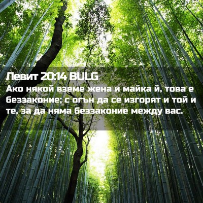Picture 02 - Левит 20:14 BULG - Ако някой вземе жена и - Bible Verse Picture