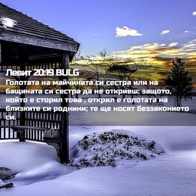 Picture 02 - Левит 20:19 BULG - Голотата на майчината си - Bible Verse Picture