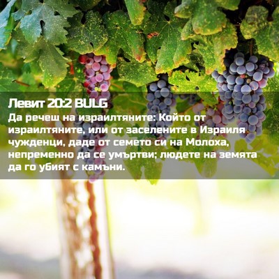 Picture 02 - Левит 20:2 BULG - Да речеш на израилтяните: - Bible Verse Picture
