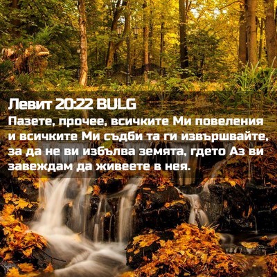 Picture 02 - Левит 20:22 BULG - Пазете, прочее, всичките Ми - Bible Verse Picture