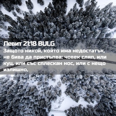 Picture 02 - Левит 21:18 BULG - Защото никой, който има - Bible Verse Picture