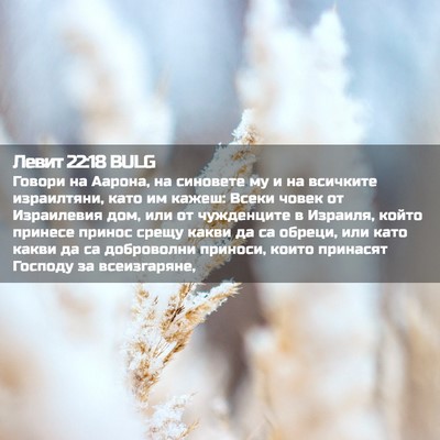 Picture 02 - Левит 22:18 BULG - Говори на Аарона, на - Bible Verse Picture