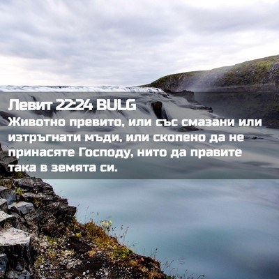 Picture 02 - Левит 22:24 BULG - Животно превито, или със - Bible Verse Picture