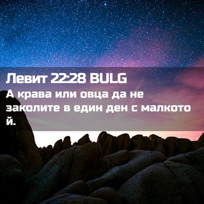 Picture 02 - Левит 22:28 BULG - А крава или овца да не - Bible Verse Picture