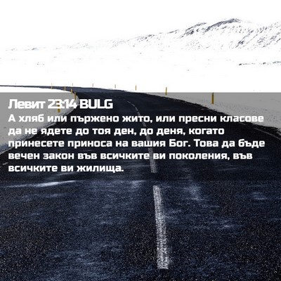 Picture 02 - Левит 23:14 BULG - А хляб или пържено жито, - Bible Verse Picture