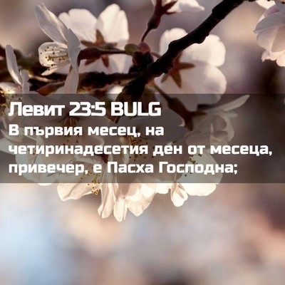 Picture 02 - Левит 23:5 BULG - В първия месец, на - Bible Verse Picture