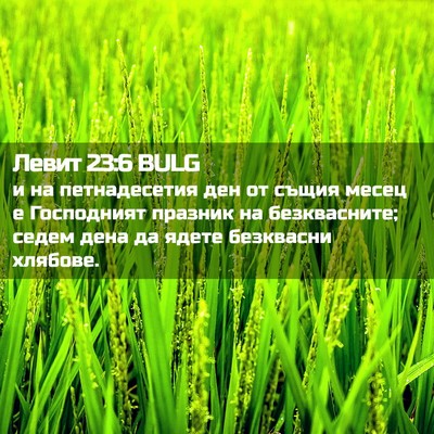 Picture 02 - Левит 23:6 BULG - и на петнадесетия ден от - Bible Verse Picture