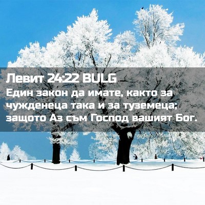 Picture 02 - Левит 24:22 BULG - Един закон да имате, както - Bible Verse Picture