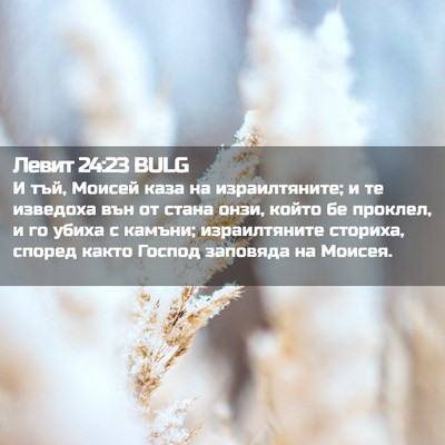 Picture 02 - Левит 24:23 BULG - И тъй, Моисей каза на - Bible Verse Picture