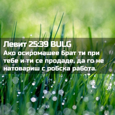 Picture 02 - Левит 25:39 BULG - Ако осиромашее брат ти при - Bible Verse Picture