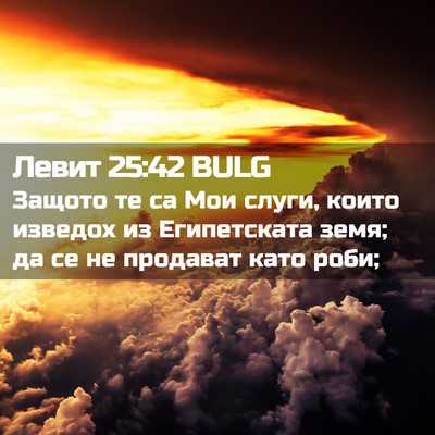 Picture 02 - Левит 25:42 BULG - Защото те са Мои слуги, - Bible Verse Picture