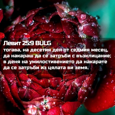 Picture 02 - Левит 25:9 BULG - тогава, на десетия ден от - Bible Verse Picture