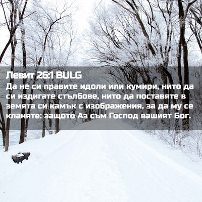 Picture 02 - Левит 26:1 BULG - Да не си правите идоли или - Bible Verse Picture