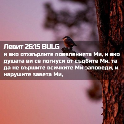 Picture 02 - Левит 26:15 BULG - и ако отхвърлите - Bible Verse Picture