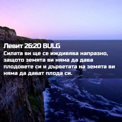 Picture 02 - Левит 26:20 BULG - Силата ви ще се иждивява - Bible Verse Picture